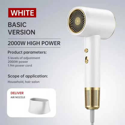 High-speed Hair Dryer PRO M01